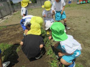 IMG_9213 IMG_9213