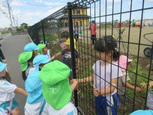 IMG_9301 IMG_9301