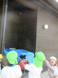 IMG_9269 IMG_9269