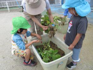 IMG_9372 IMG_9372
