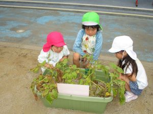 IMG_7819 IMG_7819