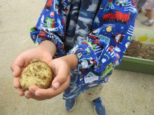 IMG_9376 IMG_9376