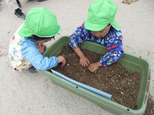 IMG_9384 IMG_9384