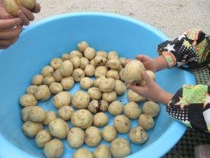 IMG_9390 IMG_9390