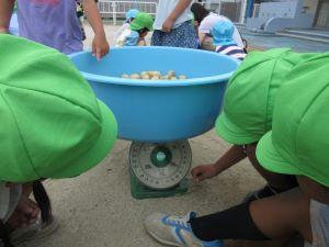 IMG_9393 IMG_9393