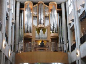 IMG_0342 IMG_0342