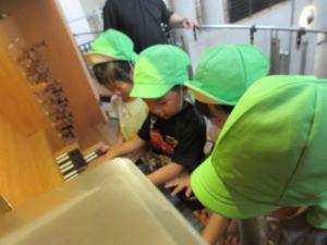 IMG_0352 IMG_0352