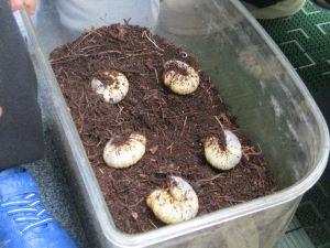 IMG_8635 IMG_8635