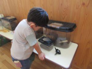 IMG_0412 IMG_0412