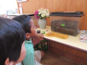 IMG_0413 IMG_0413