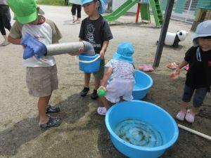 IMG_0584(1)