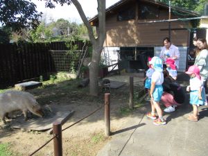 IMG_8424
