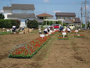 赤塚農場