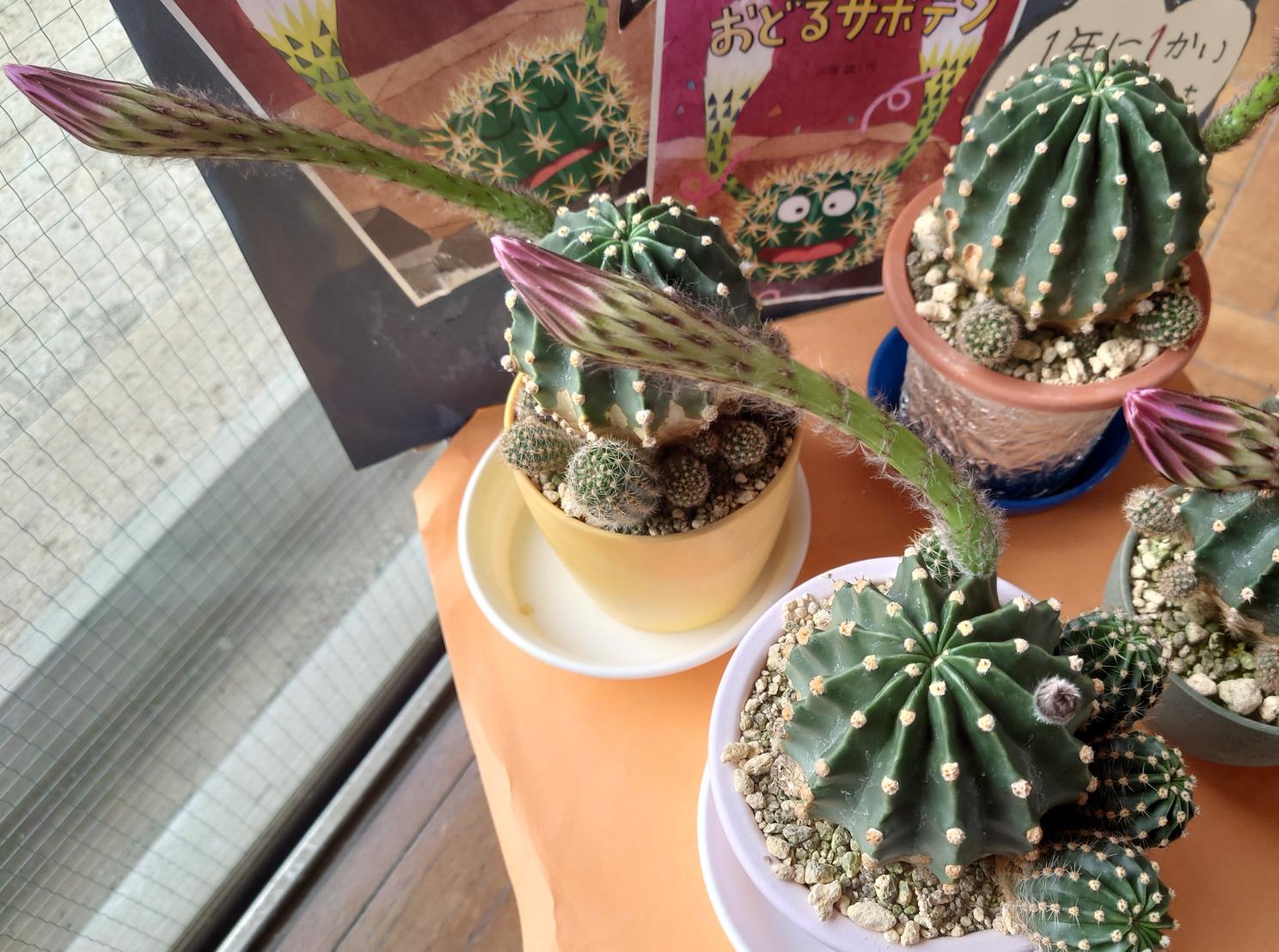 5月31日