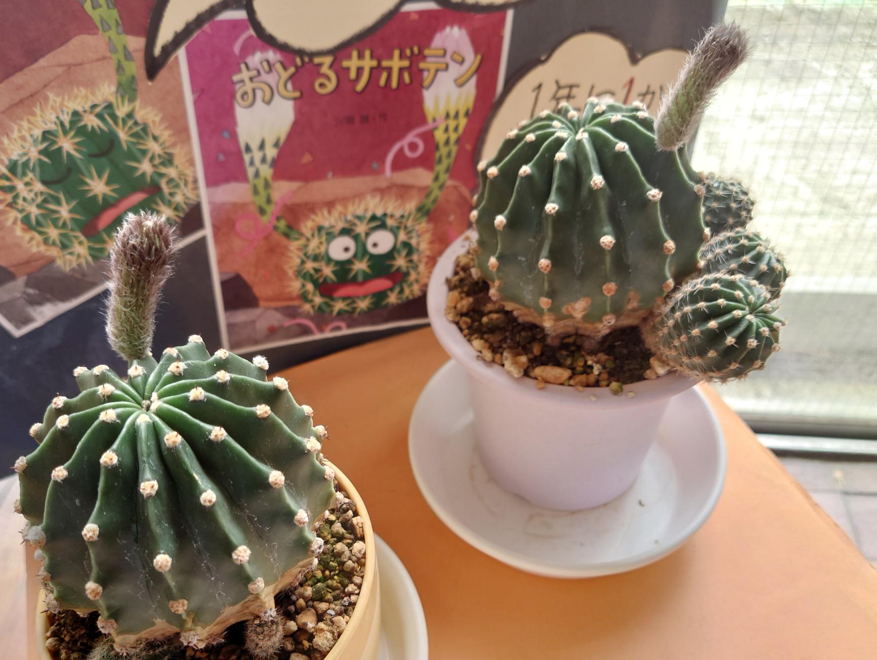 木曜日 木曜日