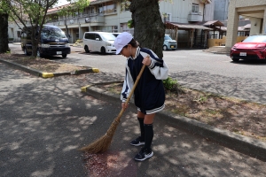 桜の花