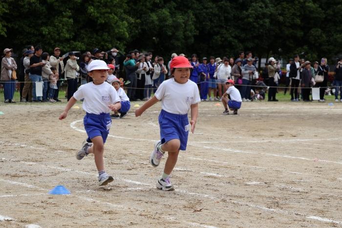 走れ走れ! 走れ走れ!