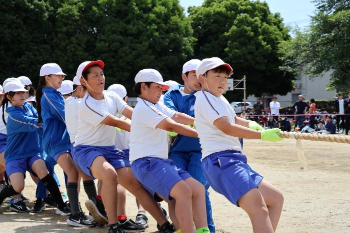負けないぞ! 負けないぞ!