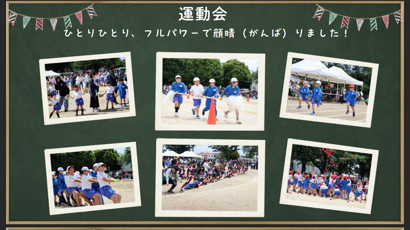 運動会 運動会
