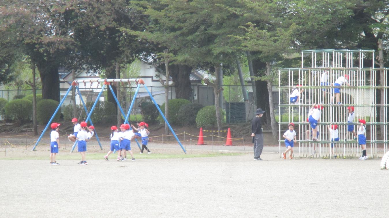 IMG_1661 IMG_1661