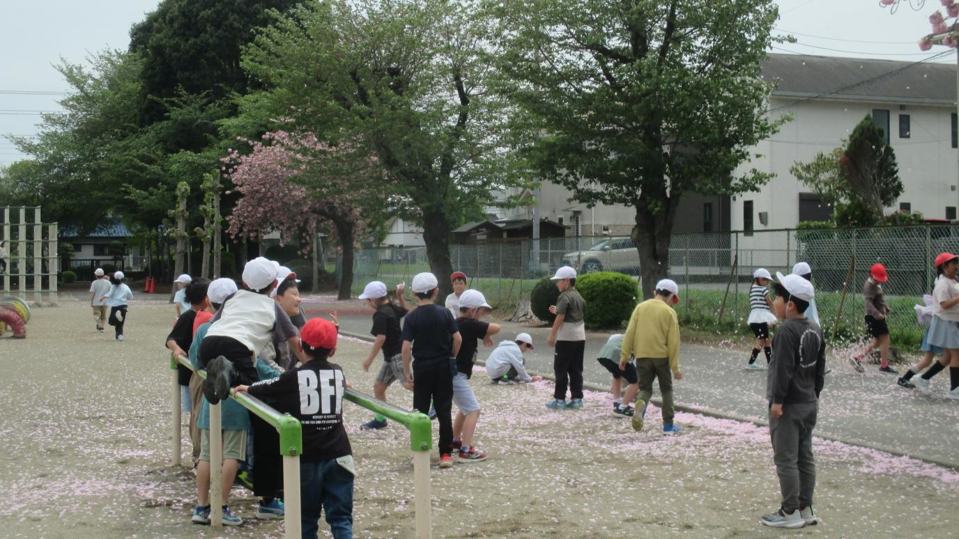 IMG_1740 IMG_1740