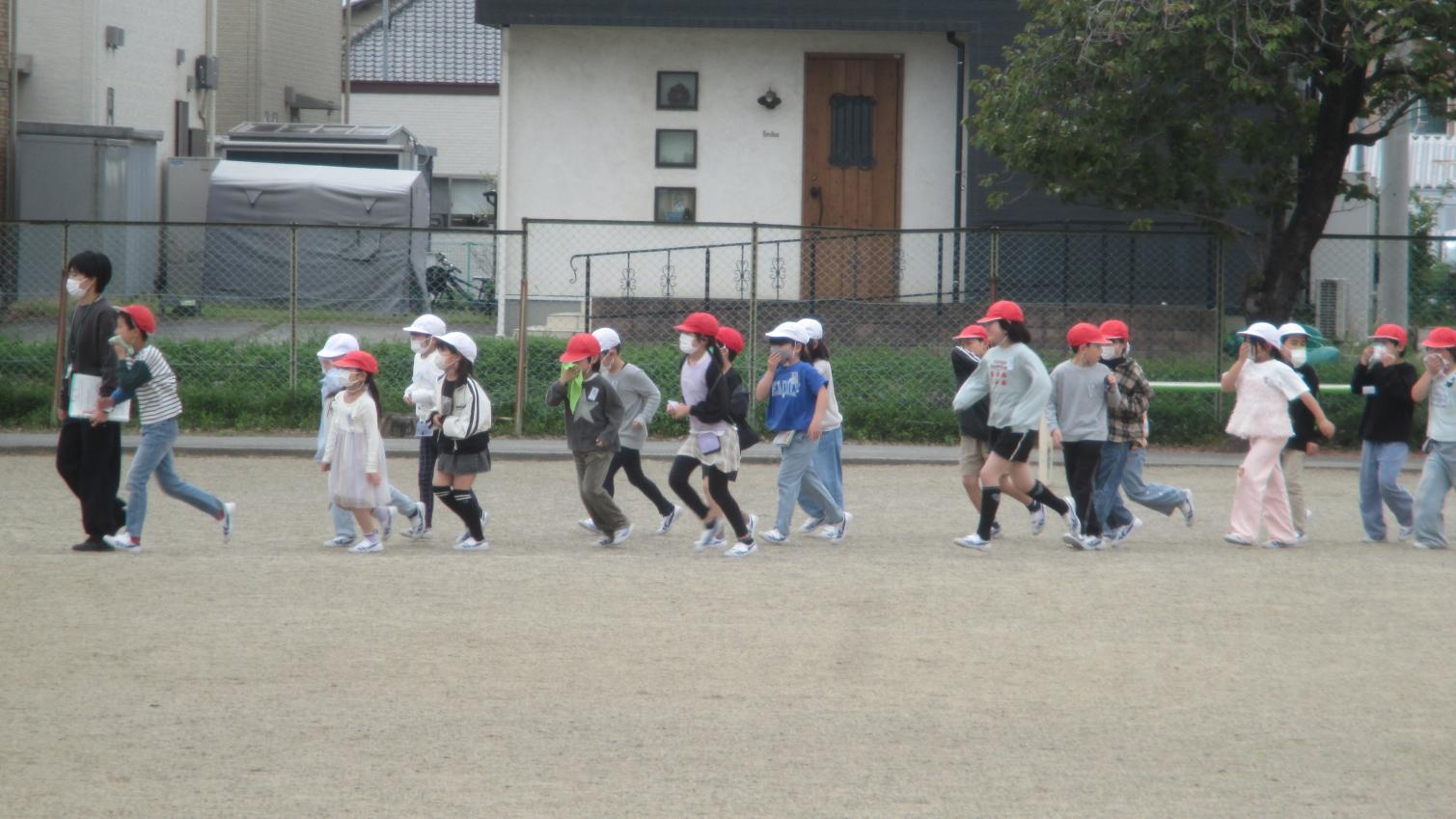 IMG_1809 IMG_1809