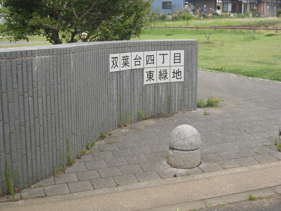 CIMG5006 CIMG5006