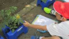 IMG_2071 IMG_2071
