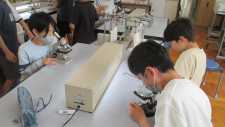 IMG_2083 IMG_2083