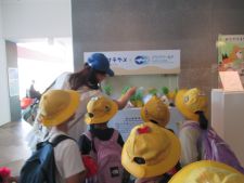IMG_2213 IMG_2213
