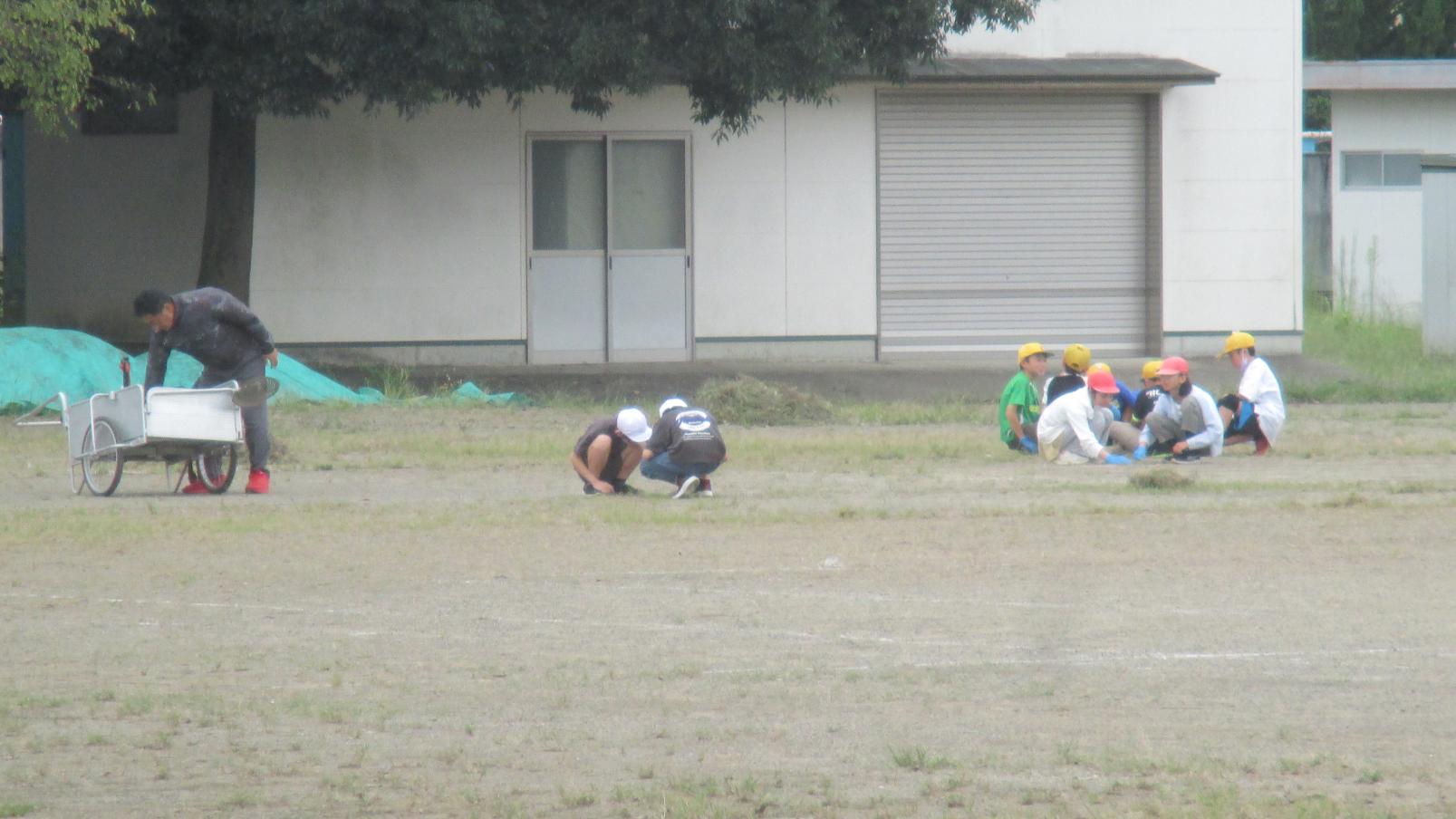 IMG_2888 IMG_2888