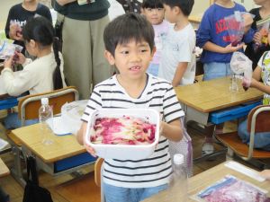 IMG_2362 IMG_2362