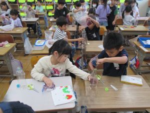 IMG_2369 IMG_2369