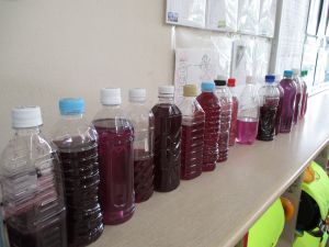 IMG_2394 IMG_2394