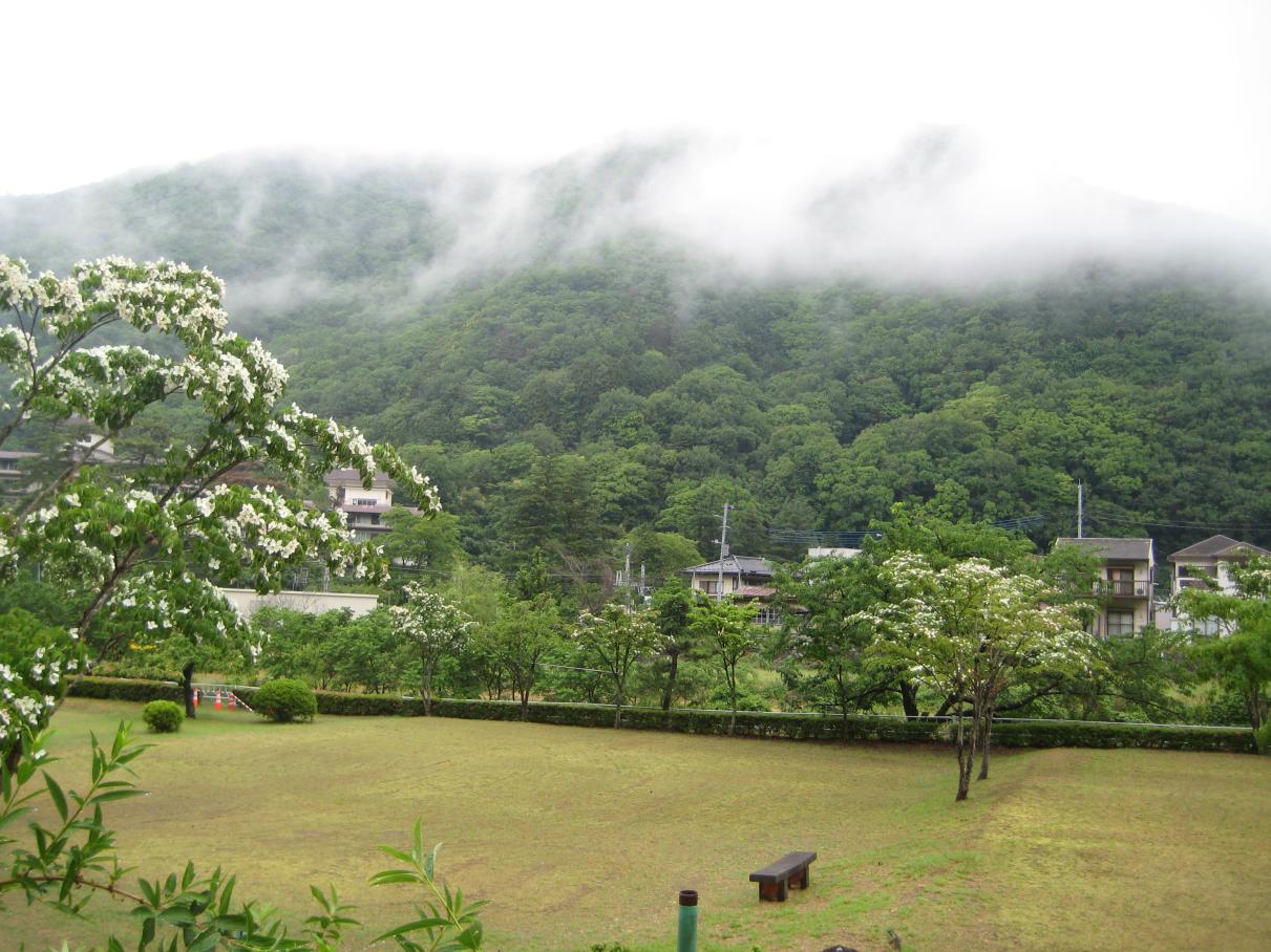 2日目風景 2日目風景