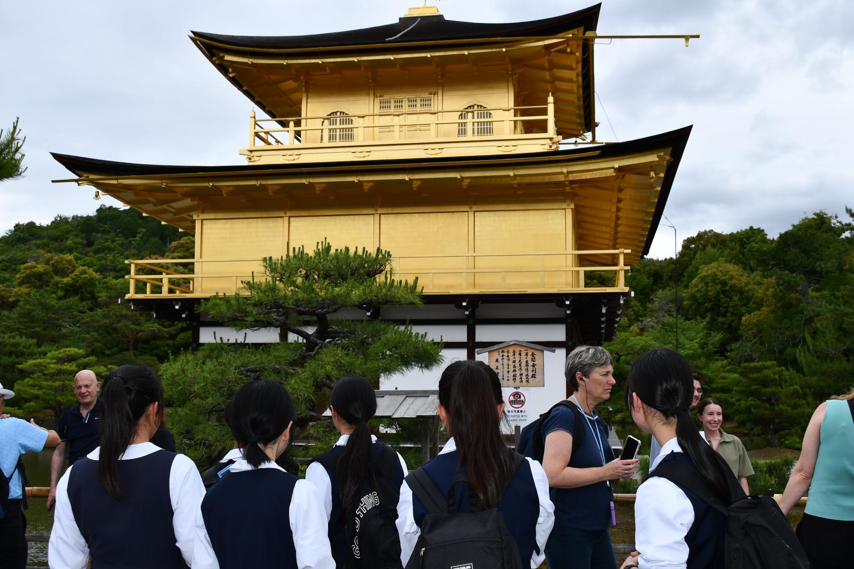 DSC_2552 DSC_2552