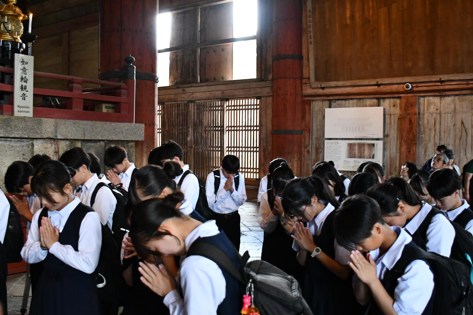 DSC_2827 DSC_2827