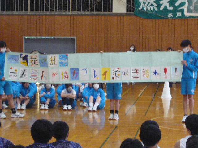P1100202 P1100202