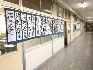 sIMG_3646 sIMG_3646