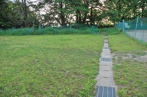 校庭除草前 校庭除草前