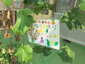 IMG_3686 IMG_3686