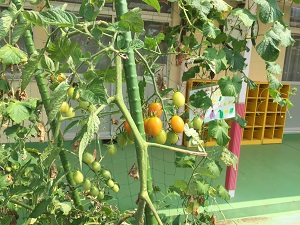IMG_3687 IMG_3687