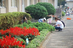 奉仕作業16 奉仕作業16