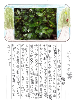 アップ1 アップ1