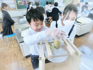 イモのスライス3 イモのスライス3