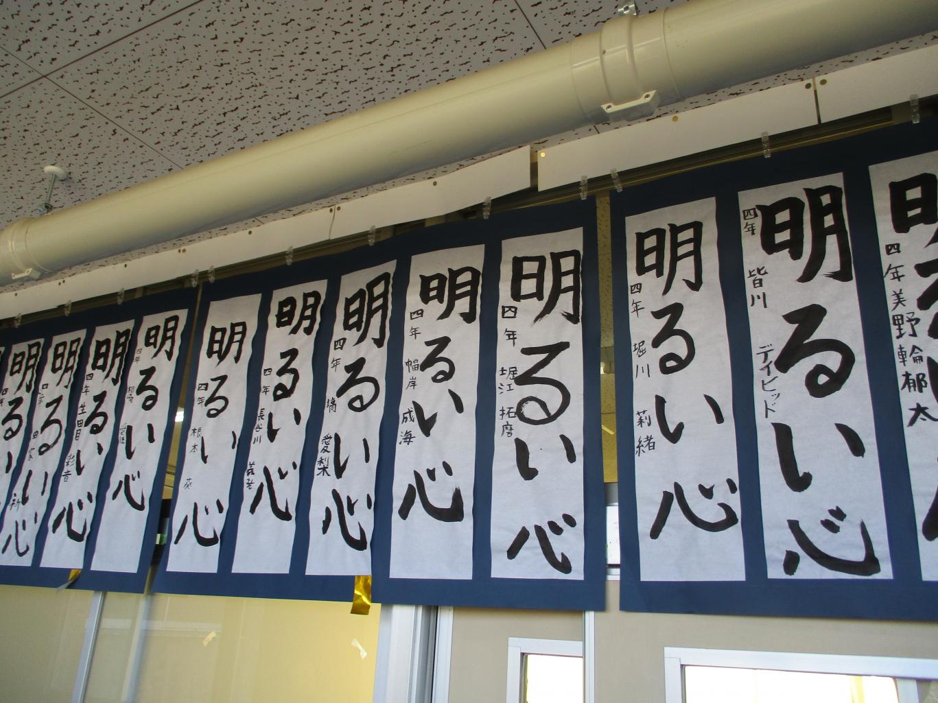 IMG_2833 IMG_2833