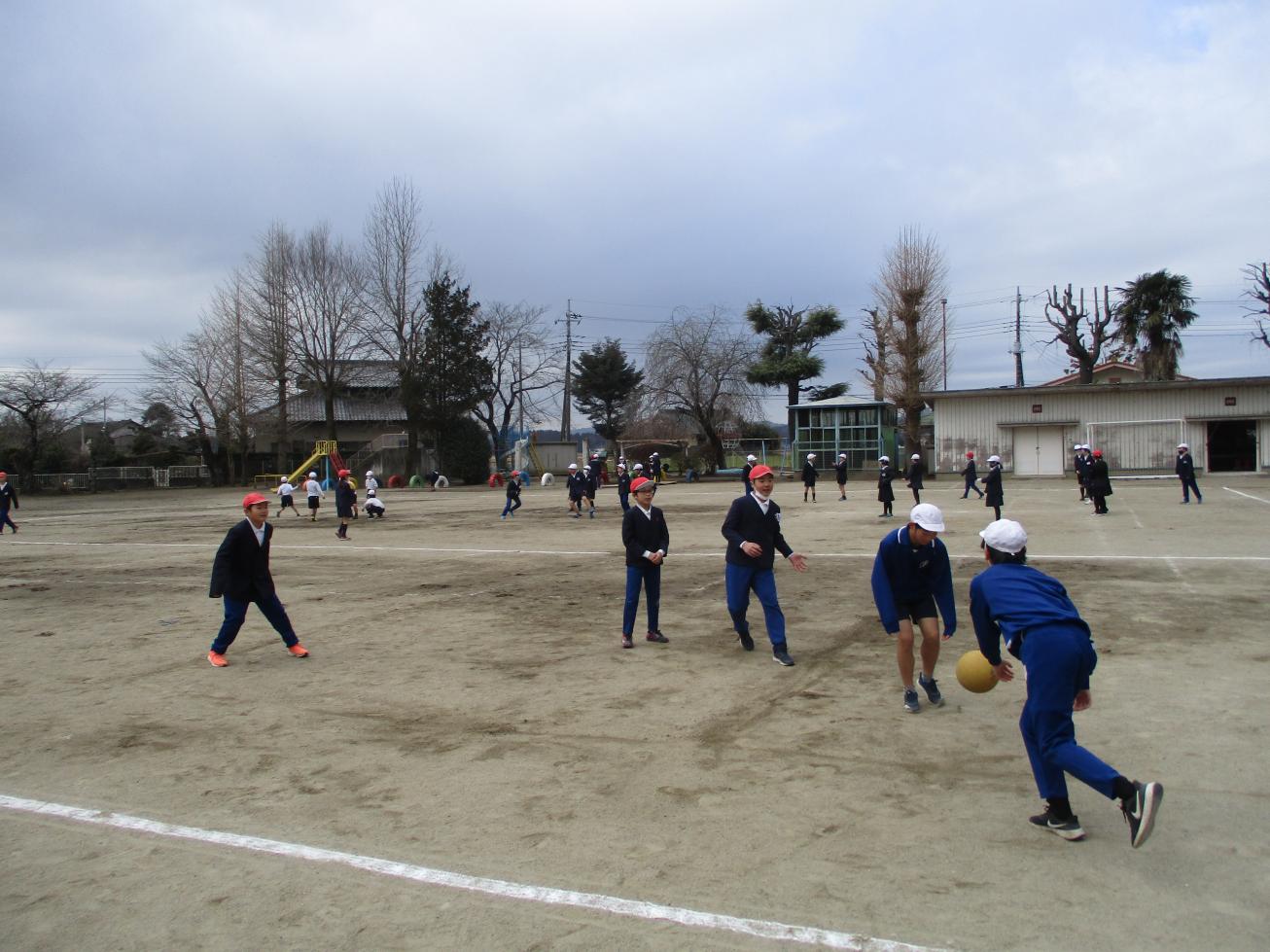 IMG_2961 IMG_2961