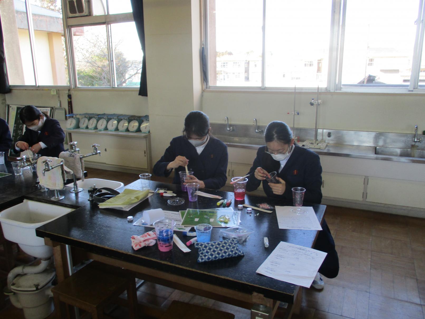 IMG_3487 IMG_3487