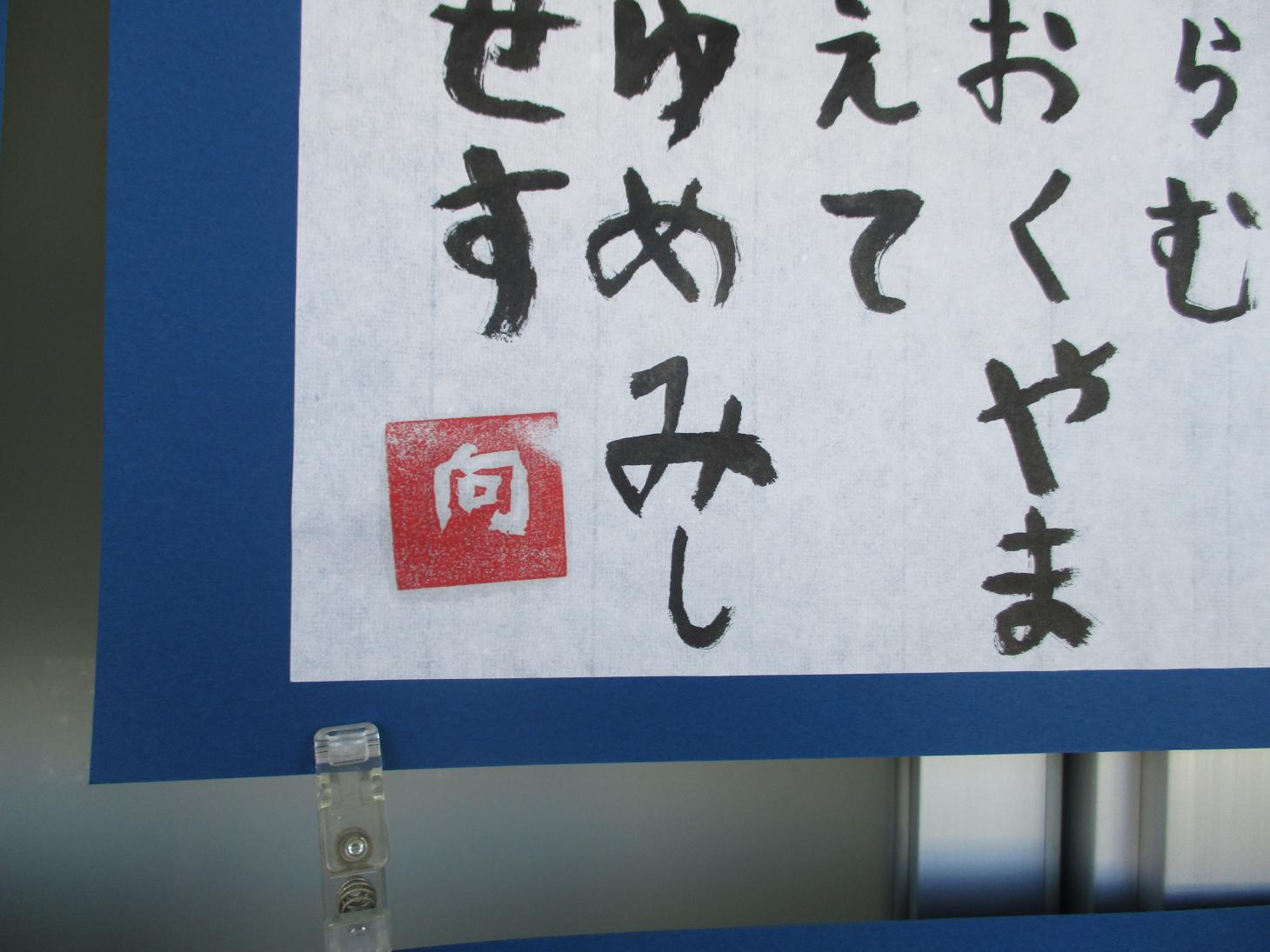 IMG_3646 IMG_3646