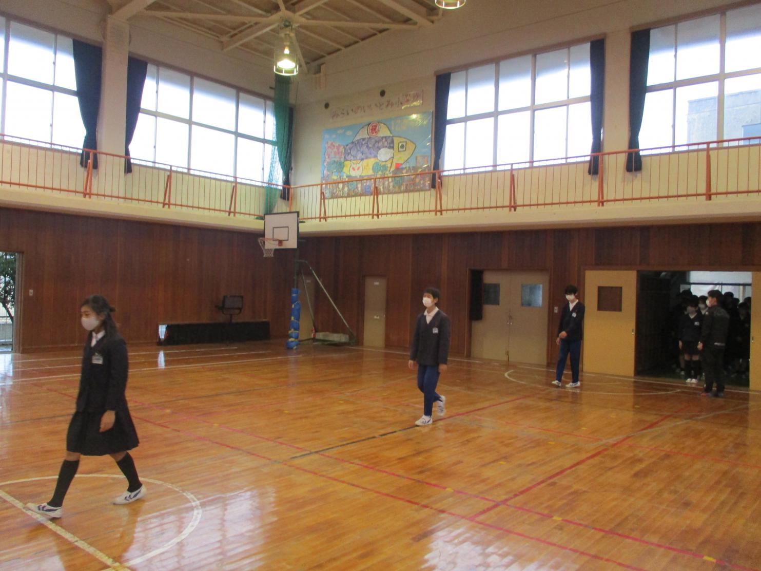 IMG_3713 IMG_3713